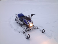 Снегоход DINGO T110